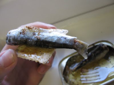 sardinha tosta